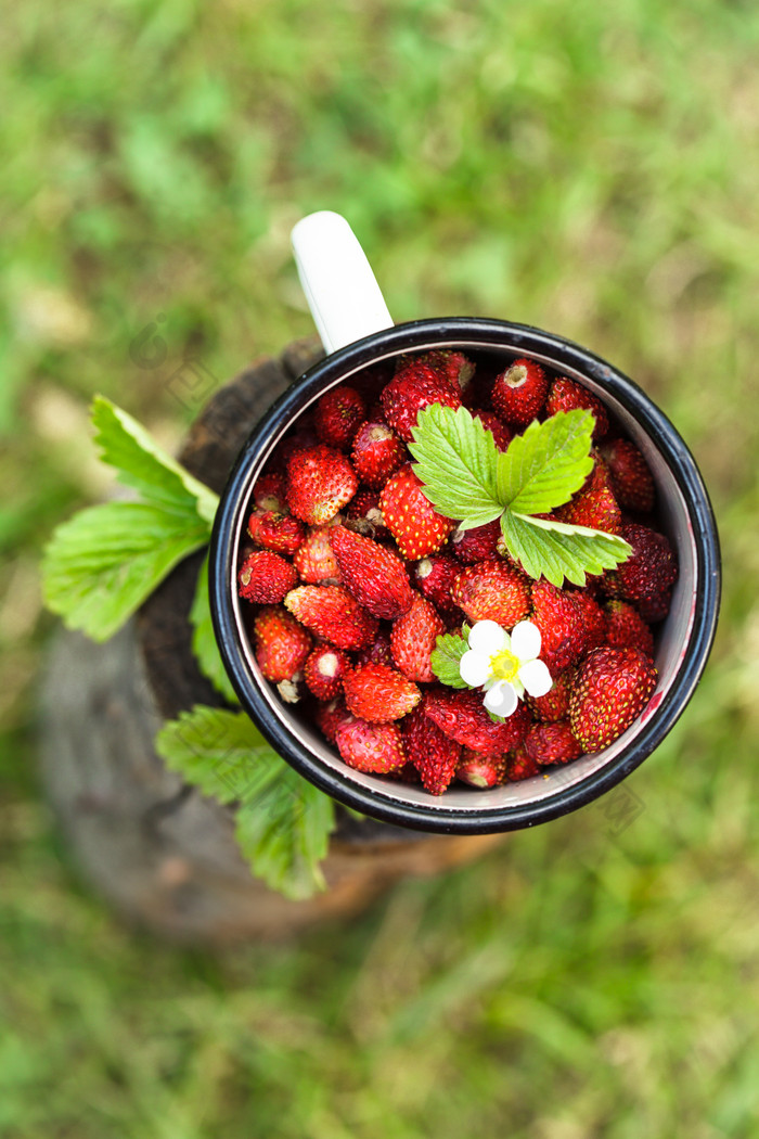 清新风杯子中的草莓摄影图