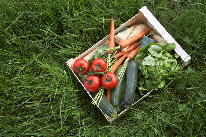 绿色调一盒蔬菜摄影图