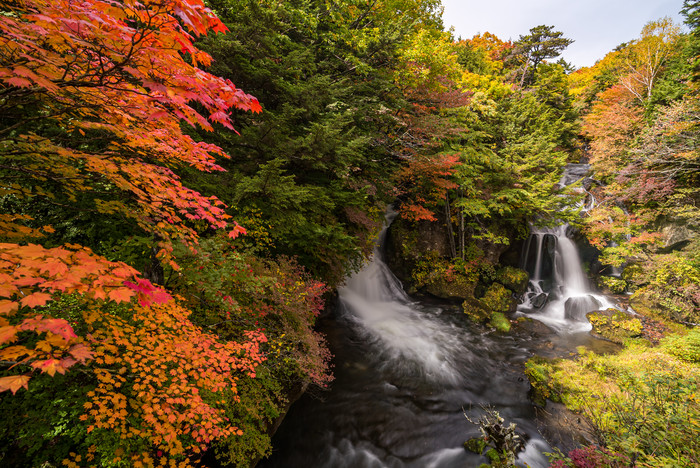 秋天瀑布植物摄影图