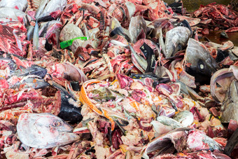 堆积的鱼头垃圾摄影图