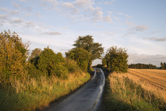 乡村<strong>小路</strong>公路摄影图