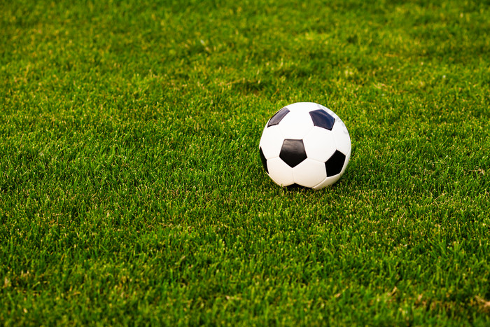 草地上的体育足球