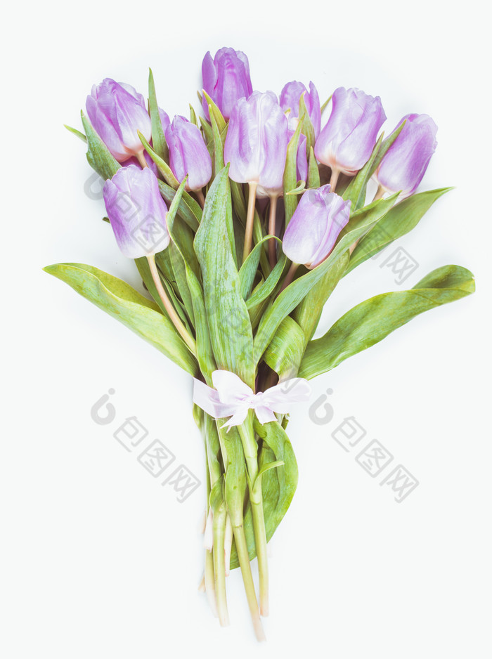 绑着的紫色花束摄影图
