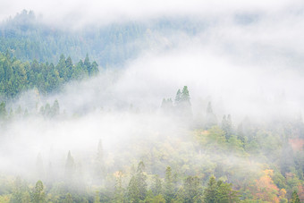 充满雾气的山林摄影图