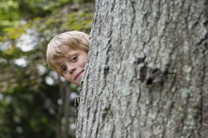 躲在树后的小男孩