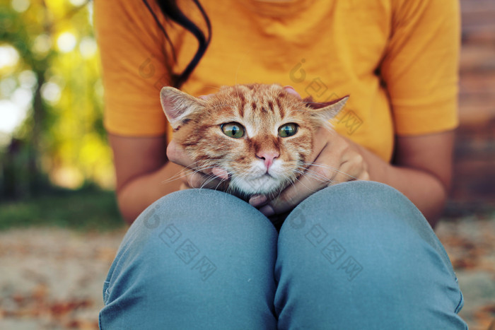 女孩抱着可爱猫咪