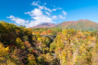 峡谷山林景色摄影图