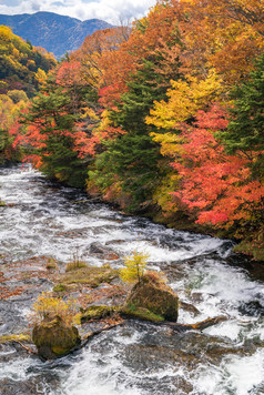 秋季河流植物景观摄影图
