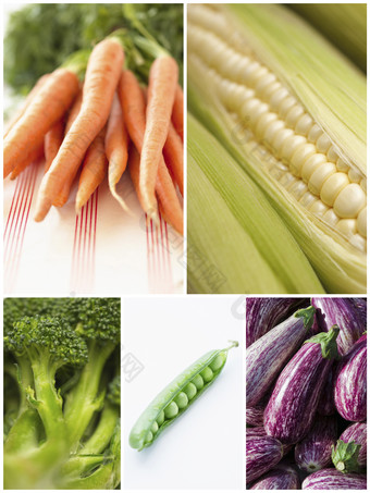 清新多种采摘的<strong>蔬菜摄影图</strong>