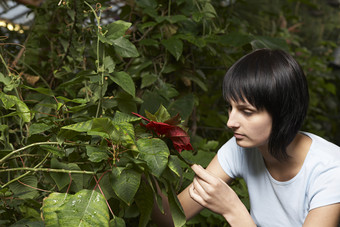 暗色调看花的美女摄影图