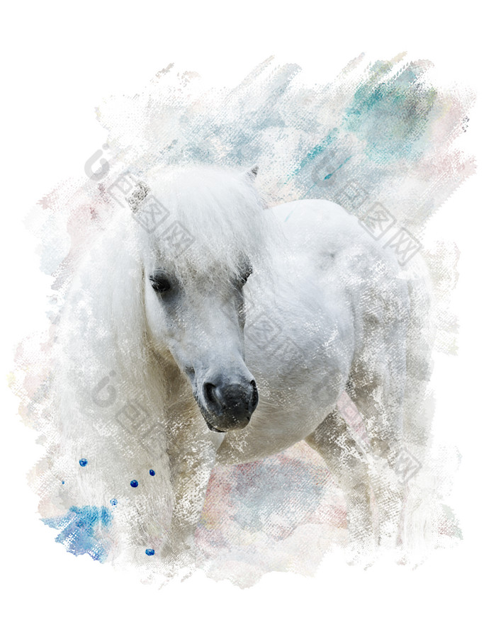 清新白色的马摄影图