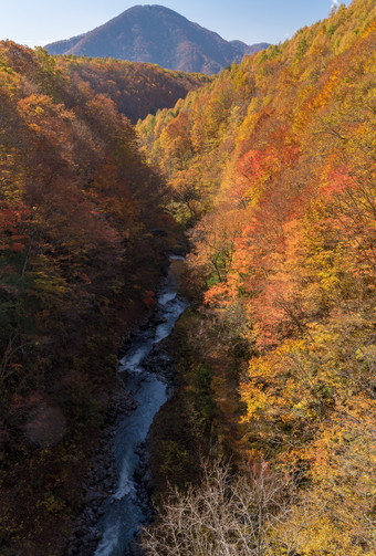 秋天山坡下的小河