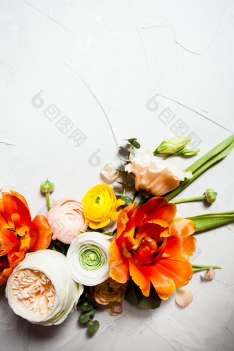 彩色花朵花束摄影图