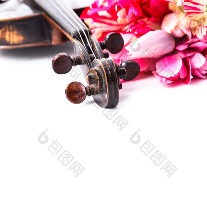 小提琴乐器和鲜花花朵