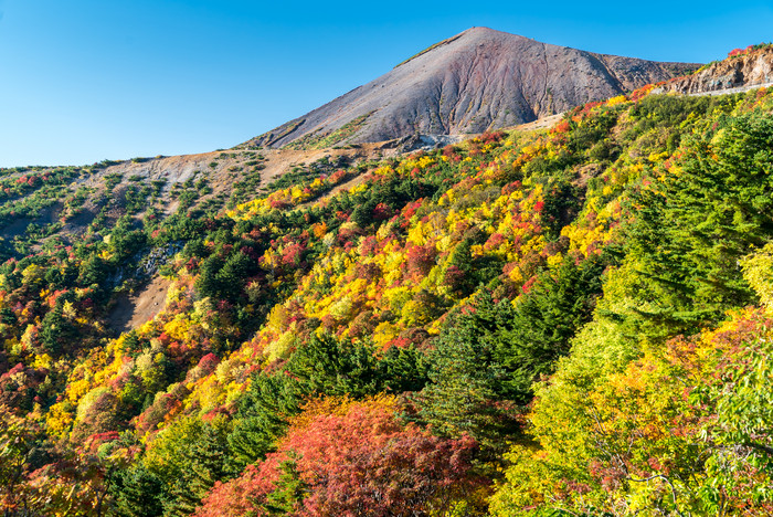 山峰山岳植物风景摄影图