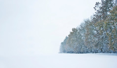 暗色调冬天的雪中摄影图