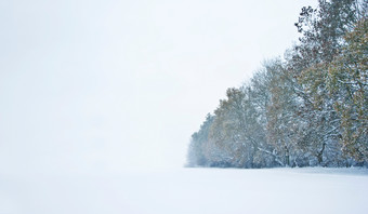 暗色调<strong>冬天</strong>的<strong>雪中</strong>摄影图