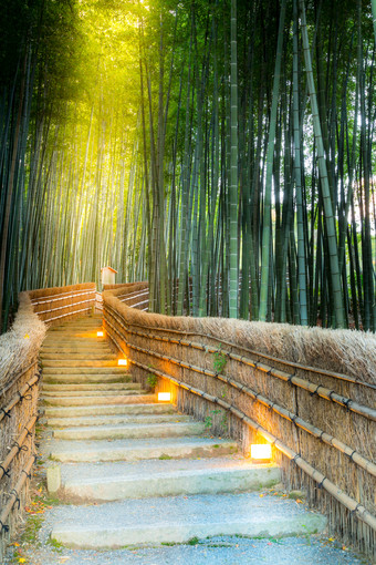 绿色竹林中的楼梯路径