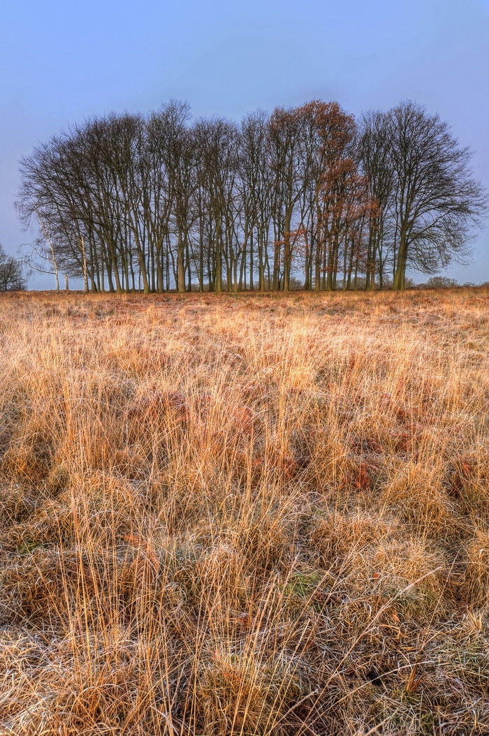 调美丽的野外景色素材免费下载,本次作品主题是摄影图,使用场景是其它