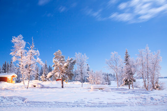 天空下的冬季雪景