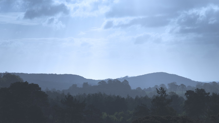 蓝天森林远山摄影图
