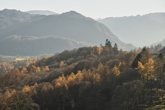 阳光中山峦树林景色