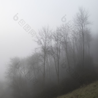 山林中的雾霾摄影图