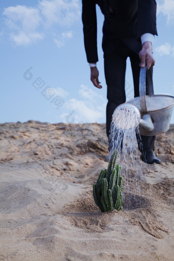 在沙漠上给仙人掌浇水