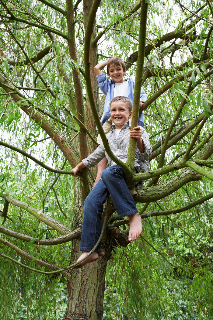 绿色调爬树的孩子摄影图