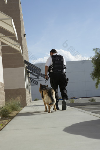 <strong>蓝色天空下</strong>的警犬素材