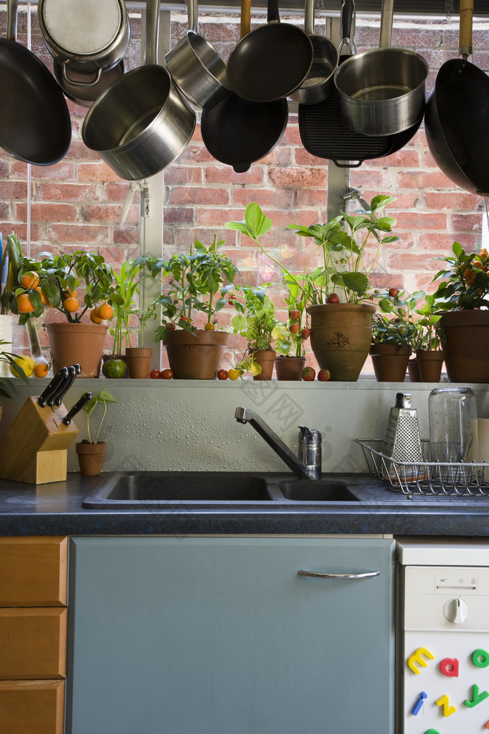 厨房厨具橱柜和橱窗上的盆栽