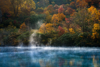 秋季树林湖水图片
