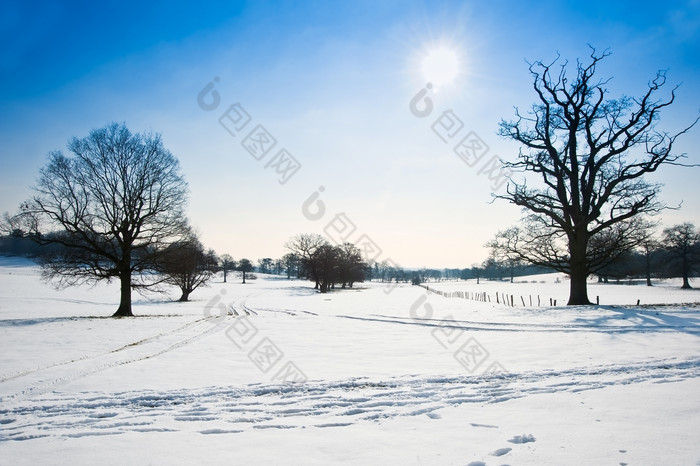 蓝色调野外雪地摄影图