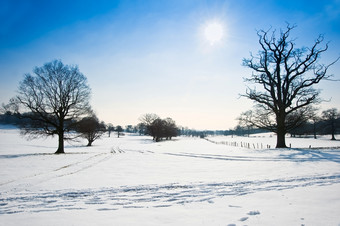 蓝色调<strong>野外雪地</strong>摄影图