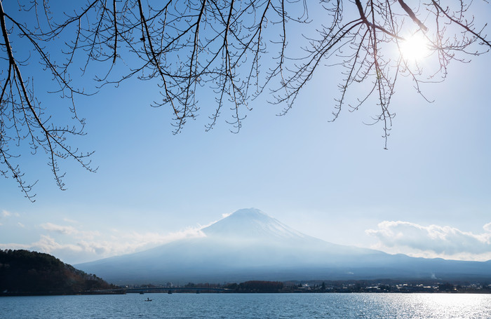 阳光树枝和雪山摄影图