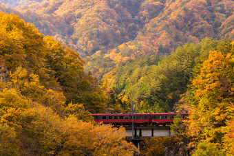 秋季山林中的火车