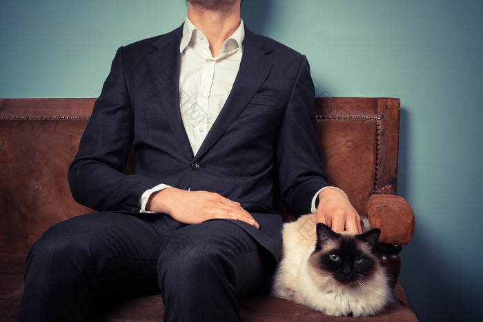 坐沙发撸猫的西装男