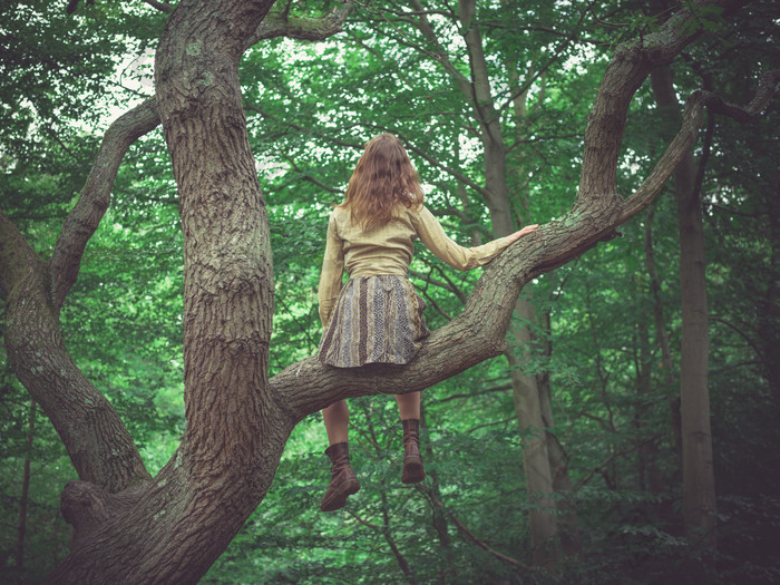 坐在树上的女人摄影图