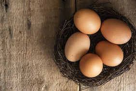 木板鸟巢中的鸡蛋