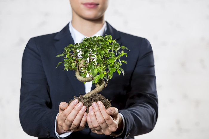 手捧树苗植物的商务人物