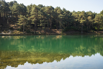 湖泊湖水边的树林