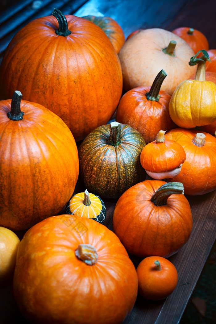 食物农作物南瓜