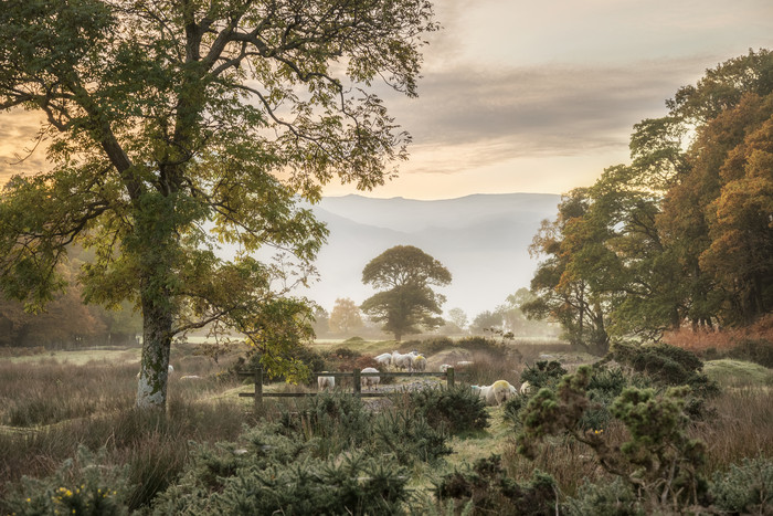 山水画风景画风景摄影crummock