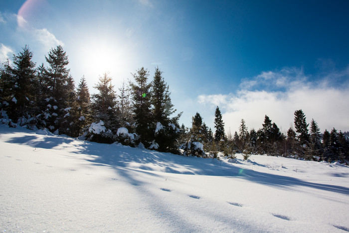 阳光明媚的冬日雪景图