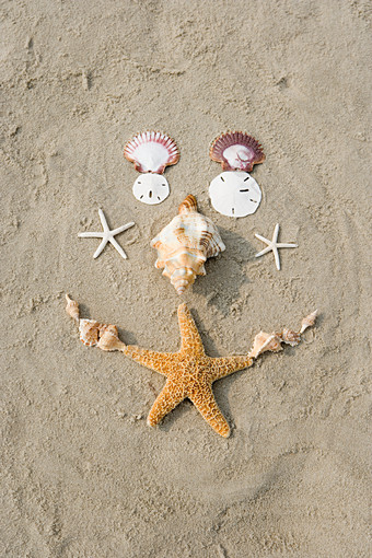 灰色调沙滩上的贝壳摄影图