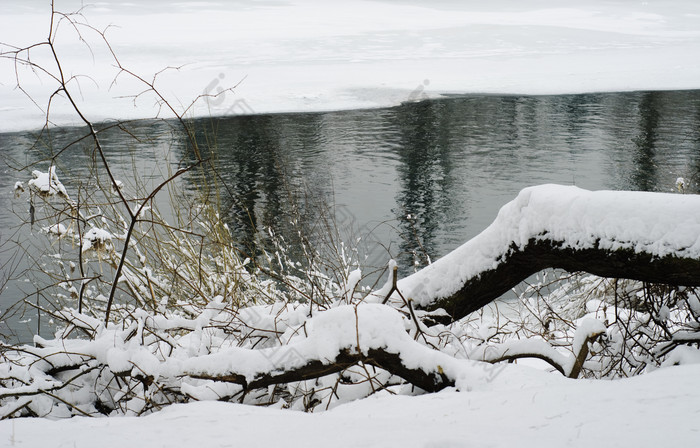 冬季河边枯树上的积雪