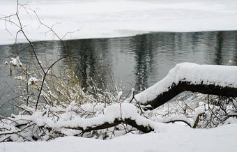 冬季<strong>河边</strong>枯树上的积雪