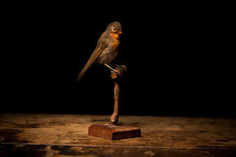 <strong>暗色调</strong>桌子的鸟摄影图