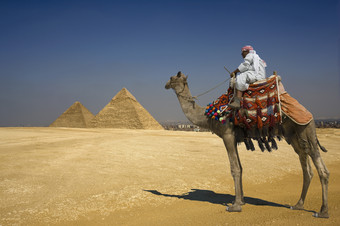 深色调沙漠中的骆驼摄影图