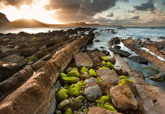 海边的绿色卵石<strong>石头</strong>